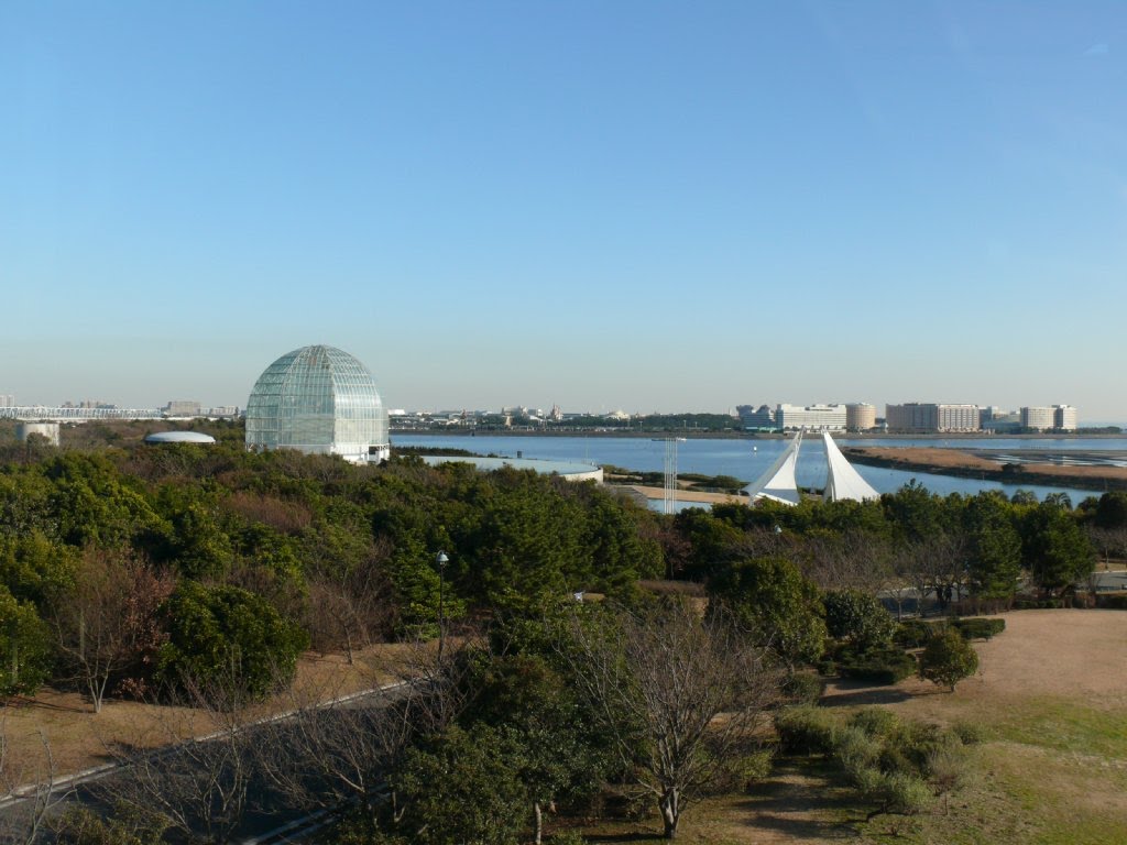 葛西臨海公園 水族館 by mthr 110