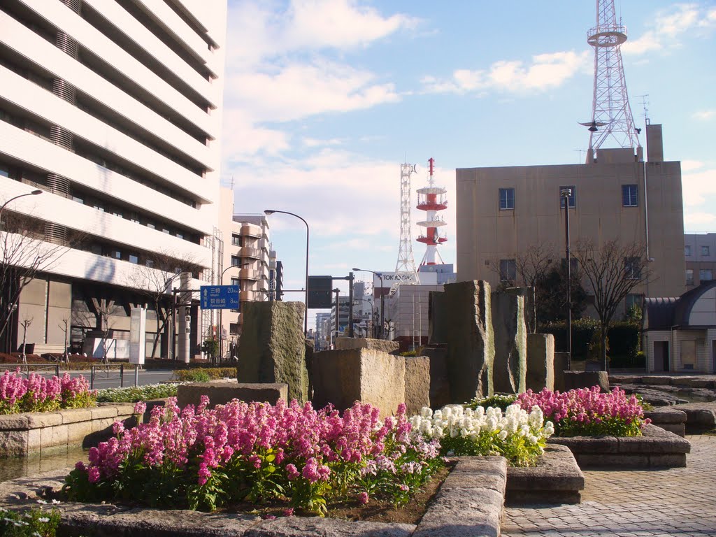 横須賀市役所前公園 by ohkubo