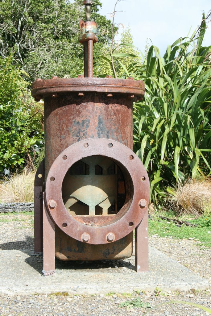 Old Water Valve at Karori Wildlife Reserve by D B W