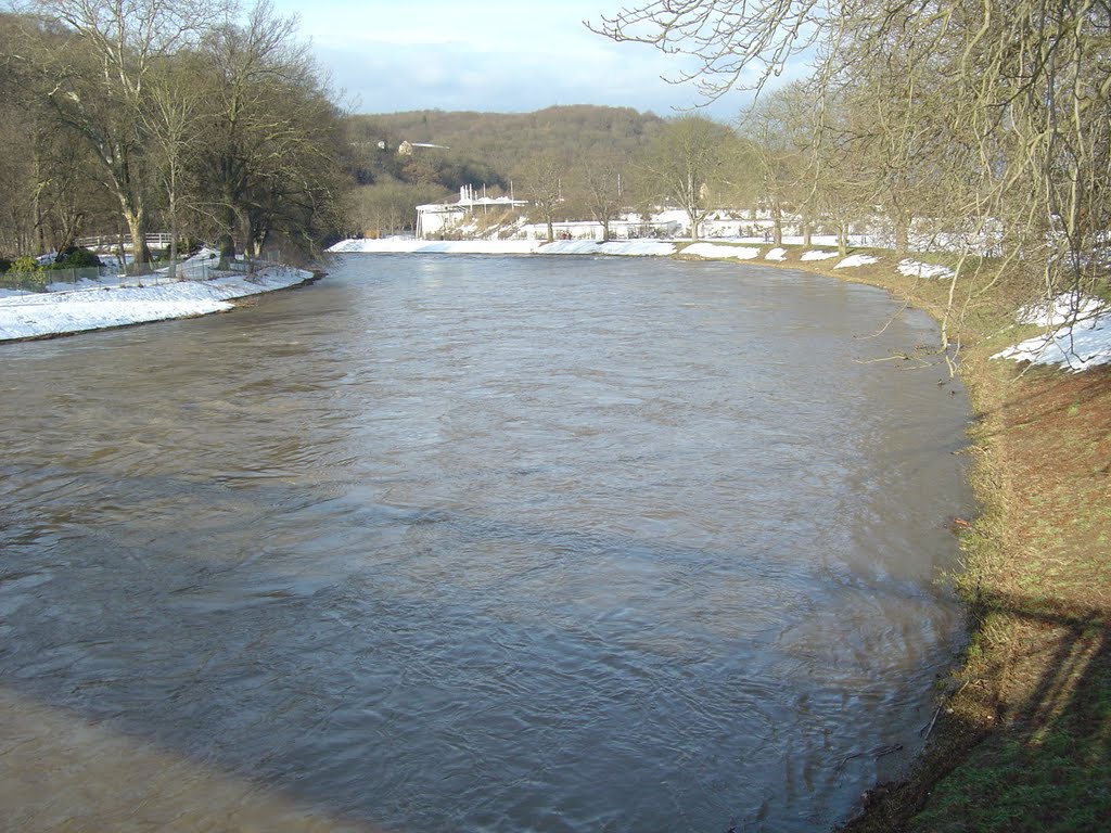 Weiße Elster - Schneeschmelzehochwasser 01-2011 by R.Seifert