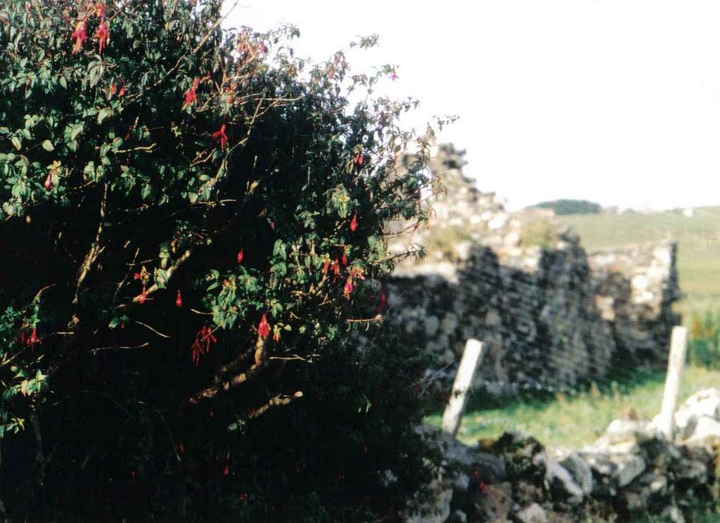 Das Traum-Cottage bei Cleggan (Irland 2000) by Klaus Metzger