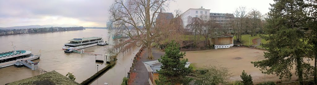 Winter Bonn 10.01.2011 Hochwasser by Karl Lolo