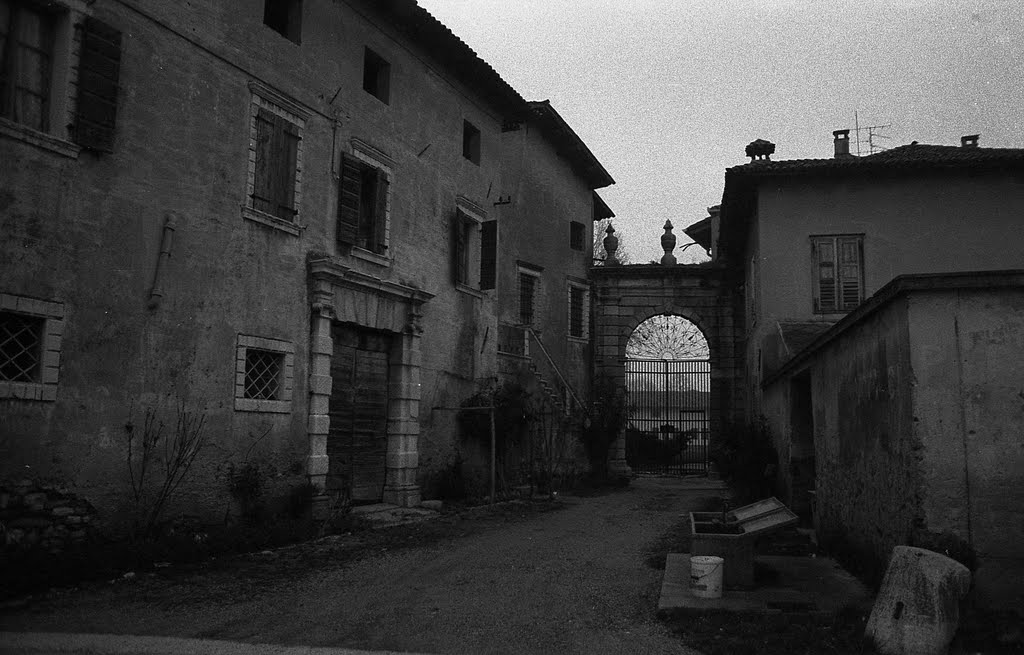 Aquileia Località Monastero Ottobre 1977 by MaurizioTex