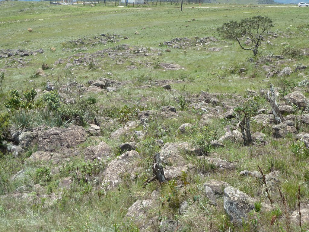 Na Serra de Ouro Branco by Als Magnvs