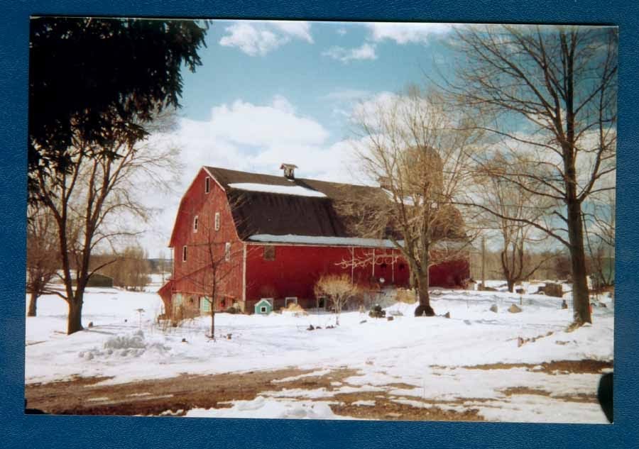 Our Barn by gardenbra