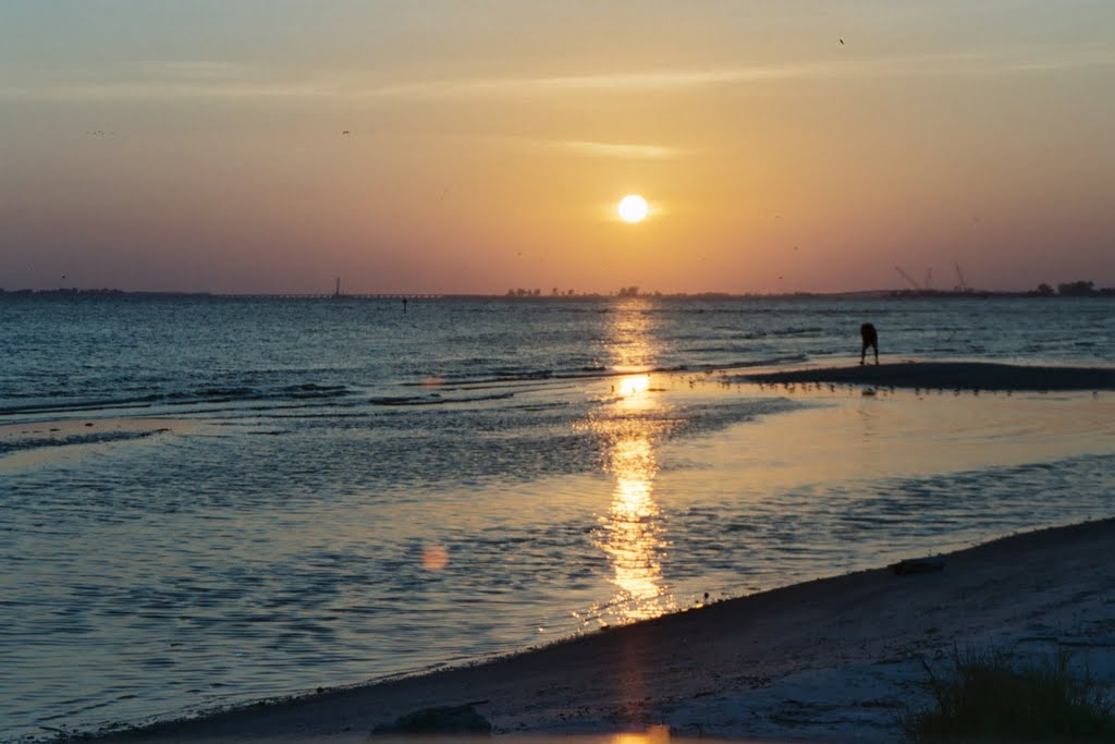 Ft. Myers Beach, FL by gardenbra