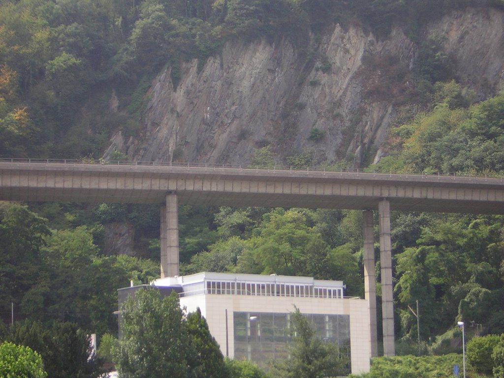 View from the Rhine by tiggybob