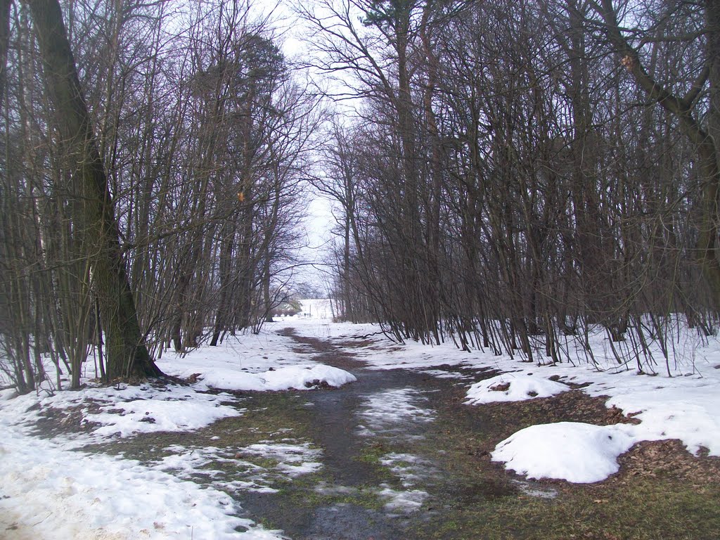 Styczniowa odwilż w parku Julianowskim w Łodzi by stevenlodz