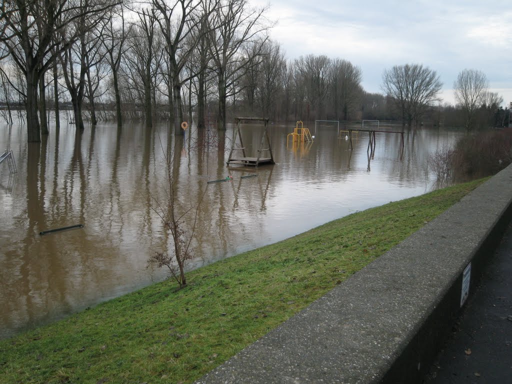 Hochwasser Rhein 10 Jan 2011 by Einrad-Hugo