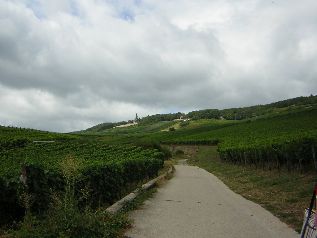 Rudesheim by tiggybob