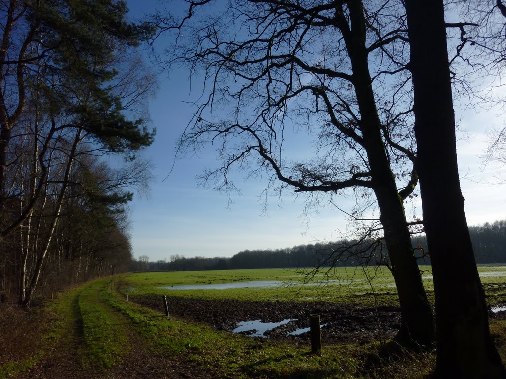 Langs De Berken by Blodwen