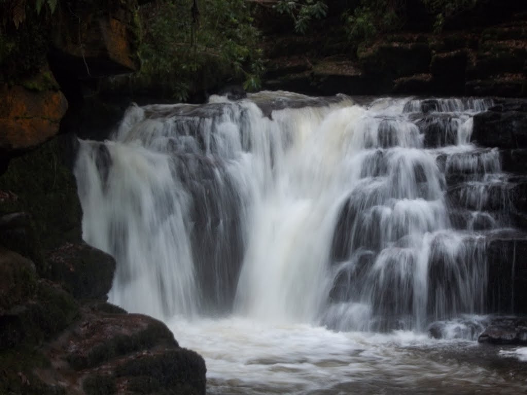 Waterfall, Clare Glens January 1 , 2011 by rincewind