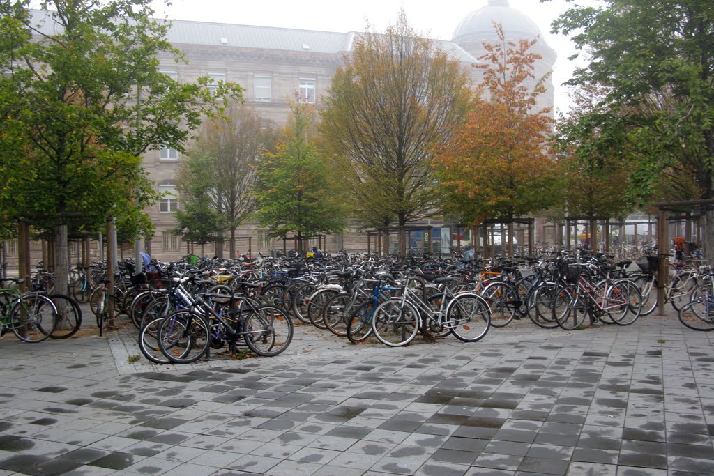 Quartier de la Gare, 67000 Strasbourg, France by ludmila alpern