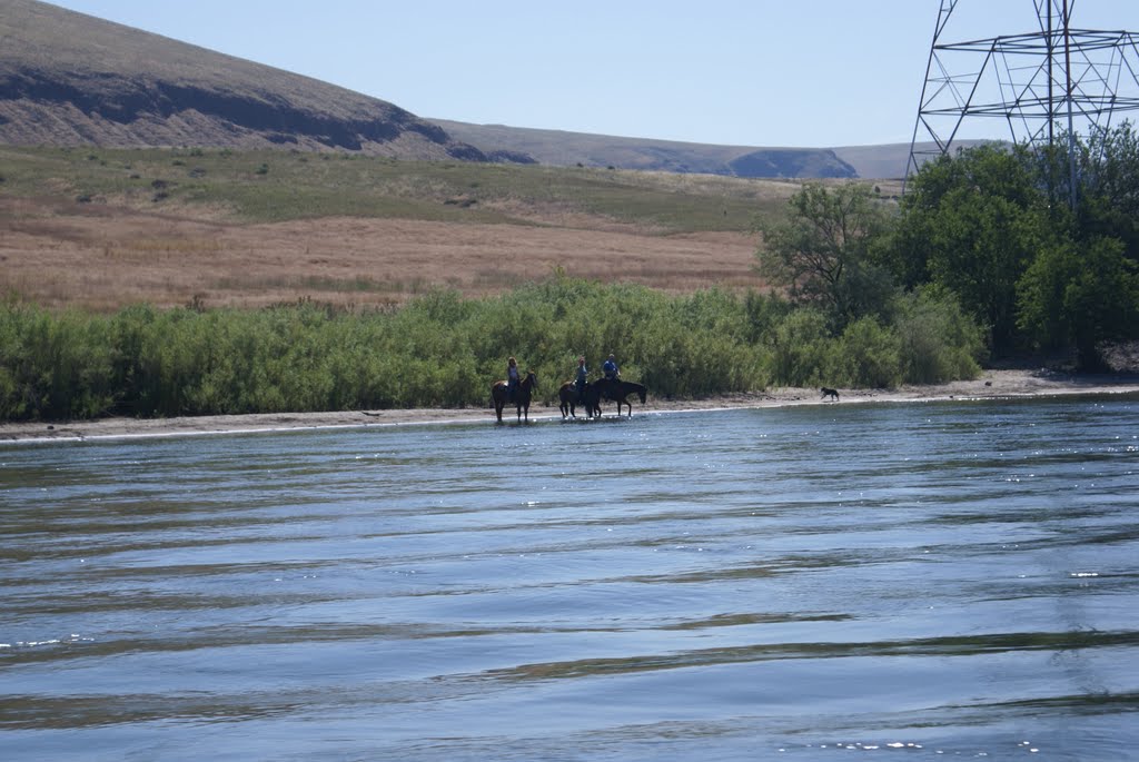 Cowboys in Horses by Eanna Grealish