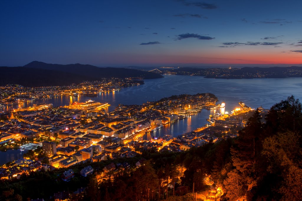 Night view from Mount Floyen / Bergen, Norway by Sergey Ashmarin