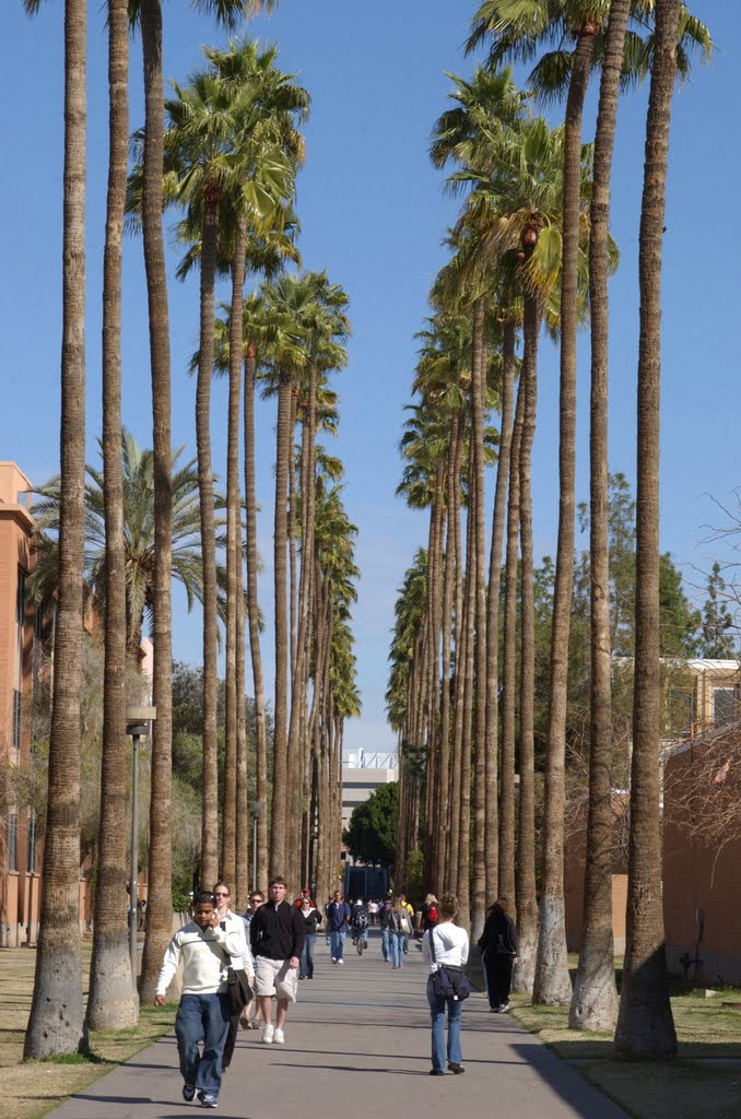 ASU Palm Walk by ArizonaStateUniversi…