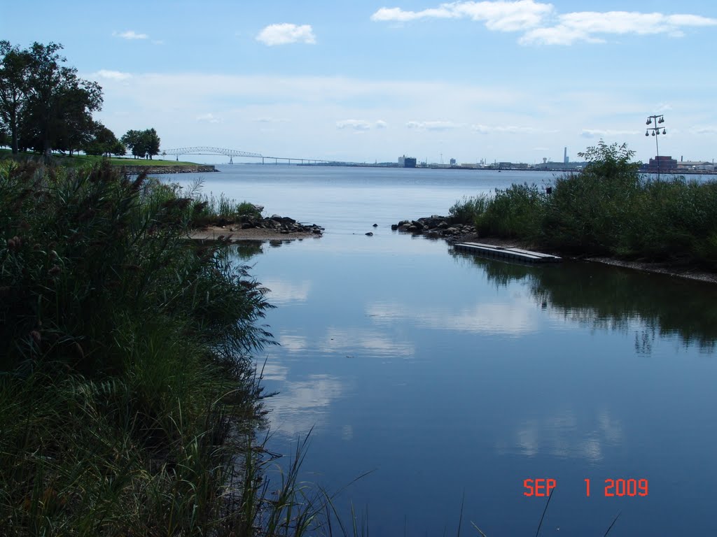 Fort McHenry Tidal Marsh by Steven Kazmierski