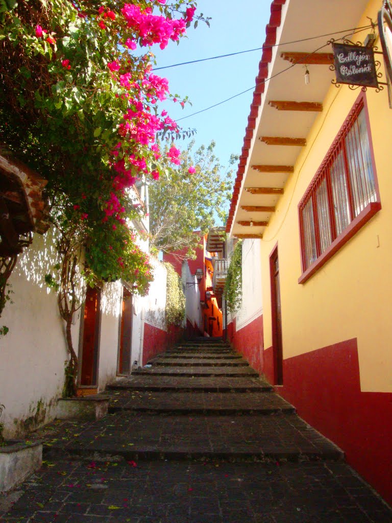 Callejón colonial de Naolinco by Alejandro Guzmán Robles