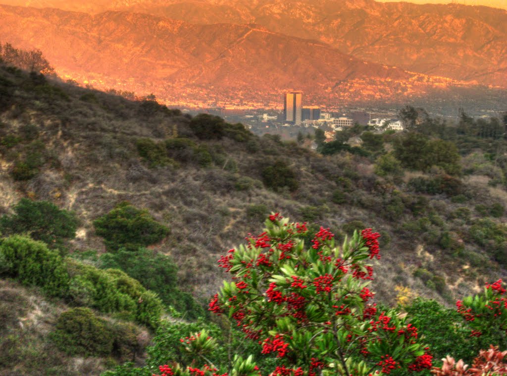 Fryman canyon looking towards Burbank by zra