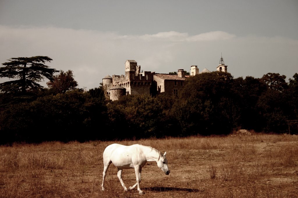 Horse at the palace by Sam Asaert