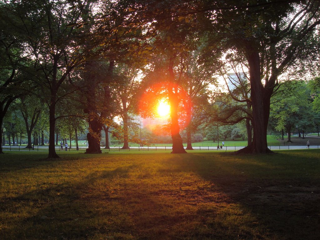 Tramonto a Central Park by edoardo oliveri