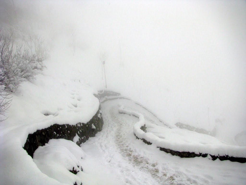 مسیر کوه پیمایی دارآباد; Darabad mountaineer path by Taimaz Bahadory