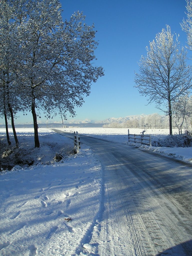 Arro, neve a febbraio by Andrea Boschetti