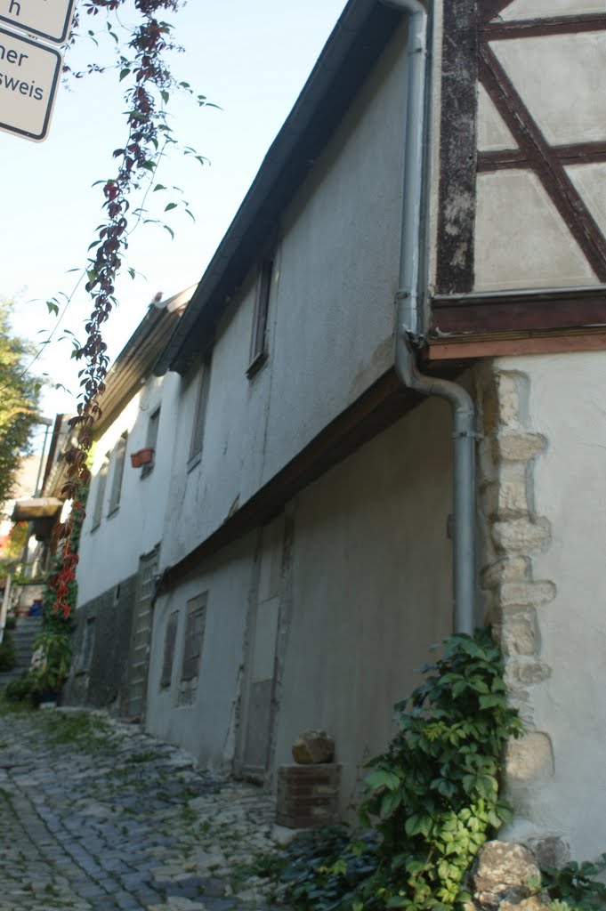 Alte Gasse mit Kopfstein-Pflaster by wolfbam