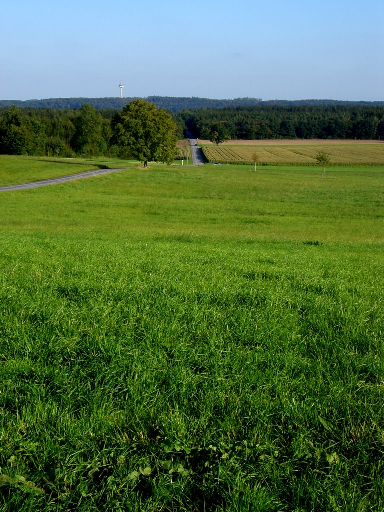 Via Julia - Trassenverlauf Landsberied 2 by Romanfootprint