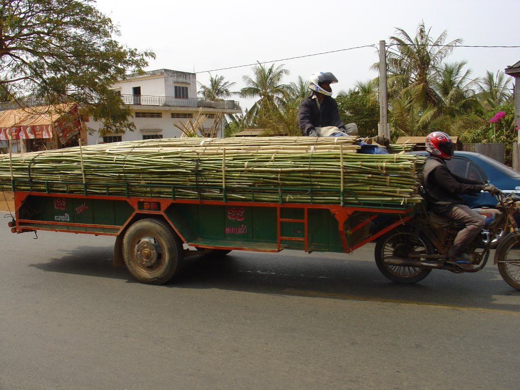 Motorcycles pull loads like this by acht72