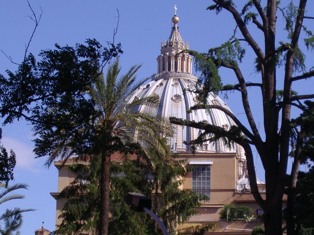 Il Cupolone visto dalla Stazione F.S. San Pietro - Roma by Ilda Casati