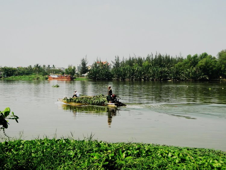 Bên Sông Bình Quới by Nguyễn Đức