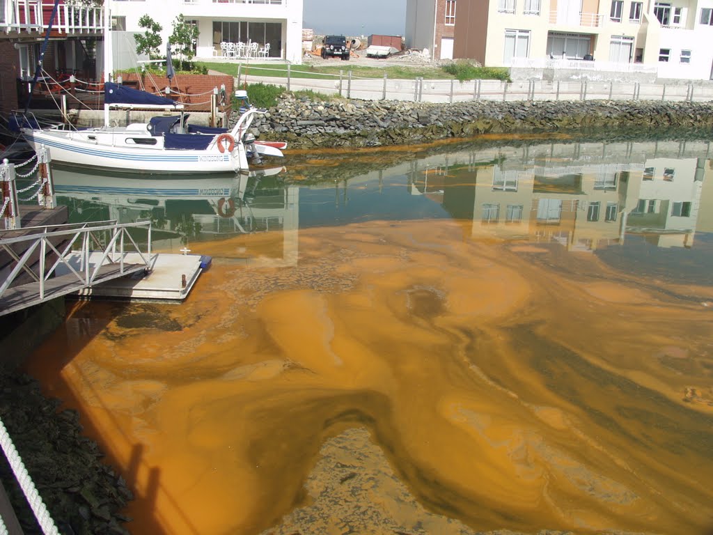 Red tide in 2006 by Leon van der Merwe