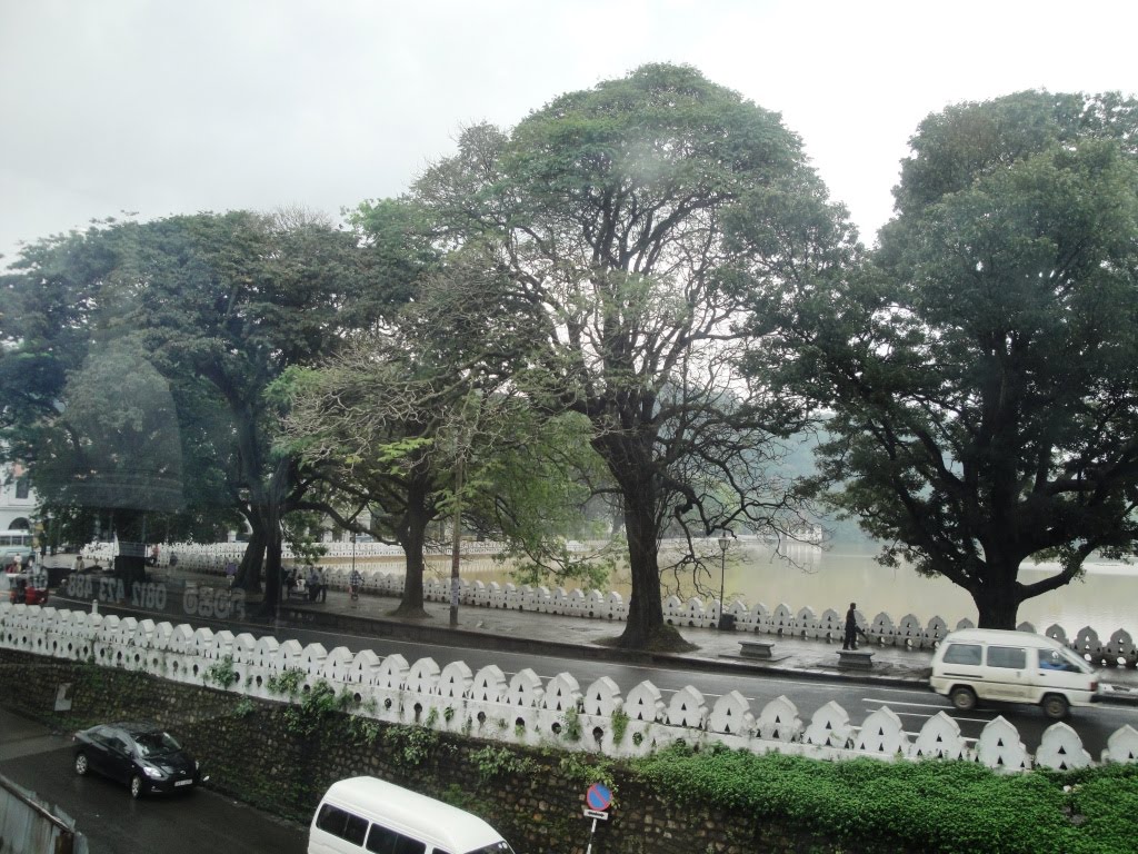 Kandy, Sri Lanka by Senanayaka Bandara