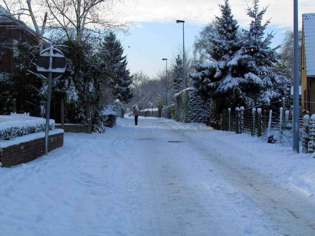 Belgium : Merelbeke : snow snow snow .. will I fall? by tinawaldo