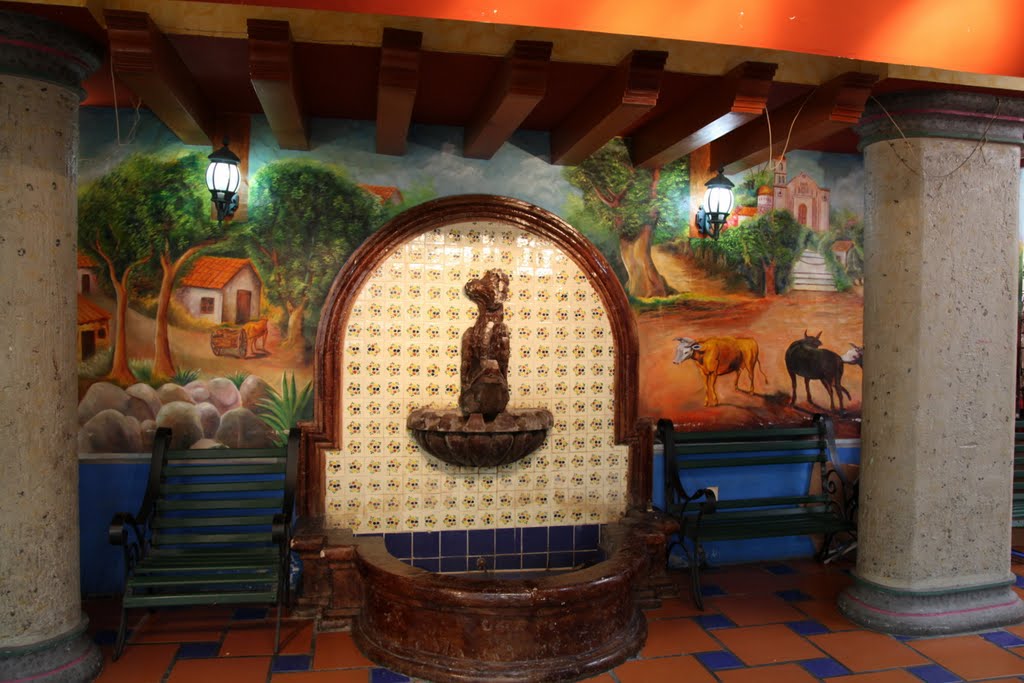 In Lázaro Cárdenas, Mazatlán, Sinaloa, Mexico by alek solo