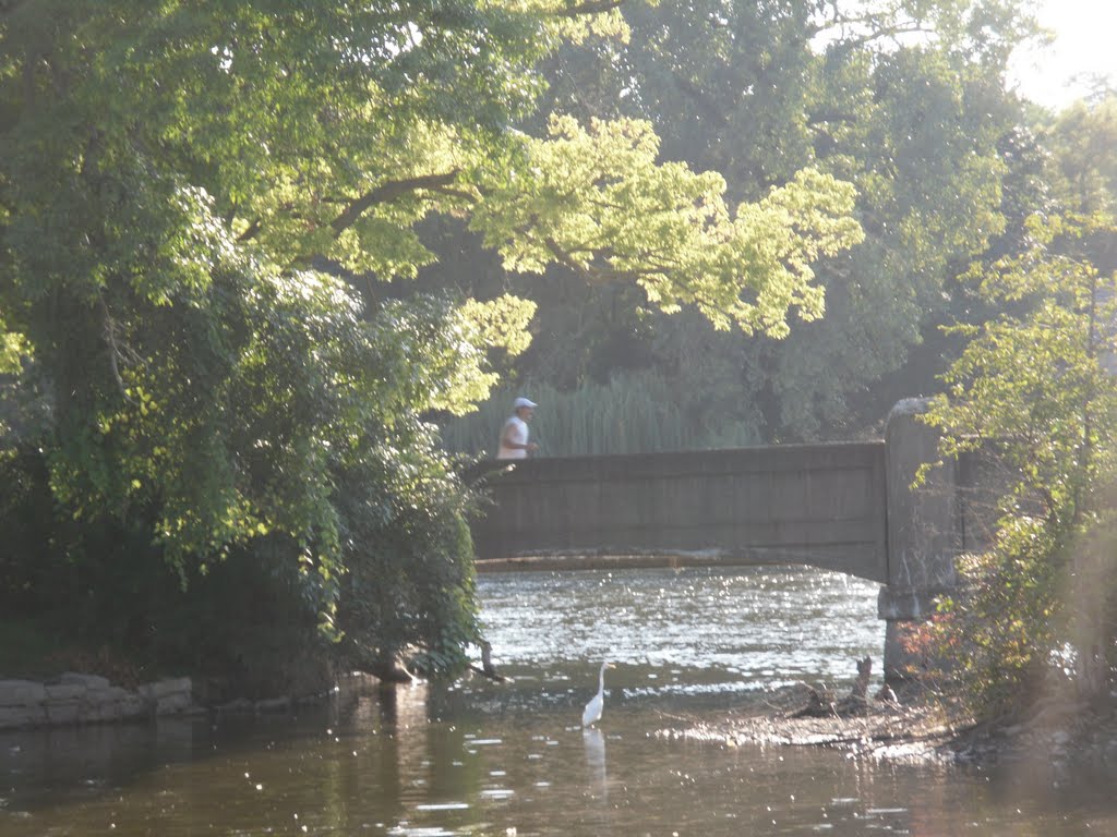 Island Park North Bridge by Derek.Juliane