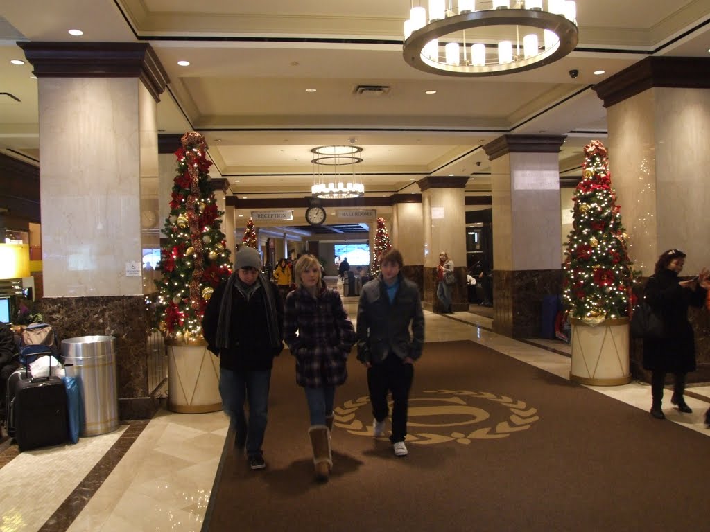 Sheraton and Towers Hotel New York by Dave Gregory