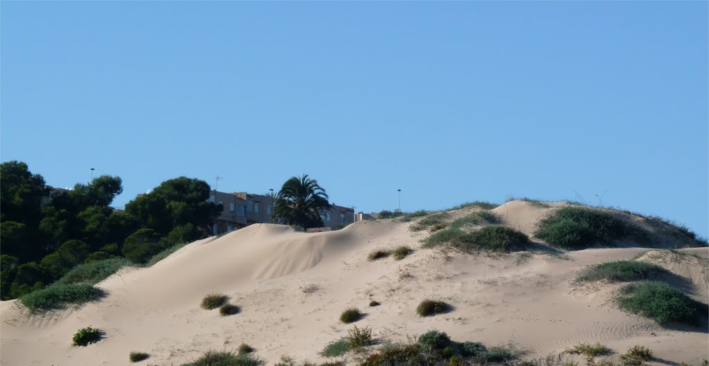 Sand dunes in Arenales del Sol, Costa Blanca, Spain by SammySambo76