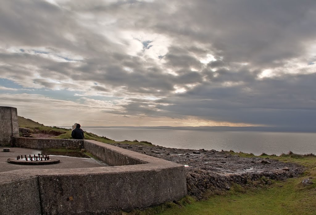 Looking out to Sea 2011-01-08 by Adam Durrant