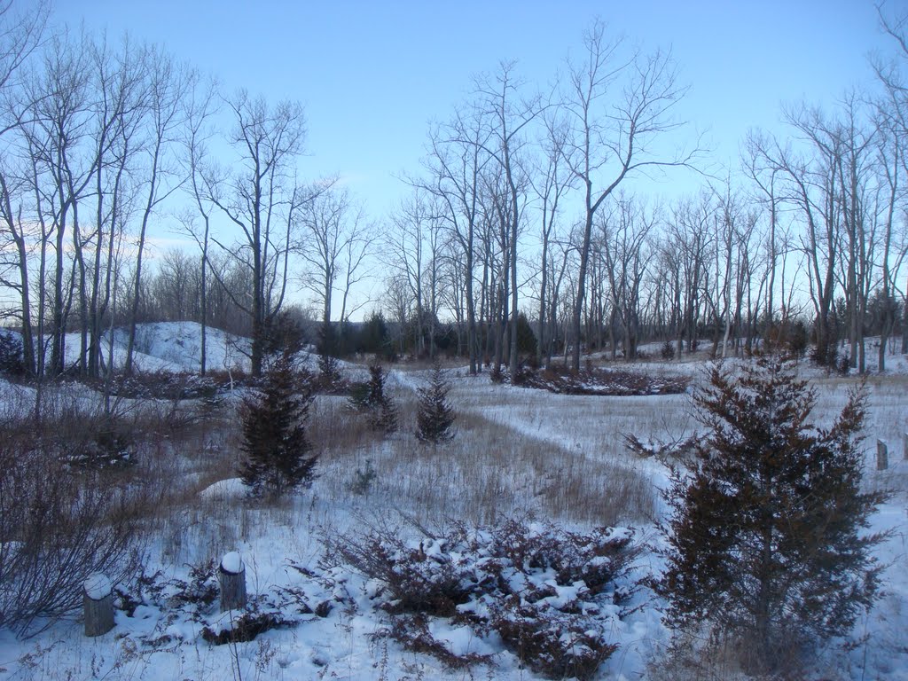 Winter in Presqu'ile Park, Ontario, Canada by cartybri