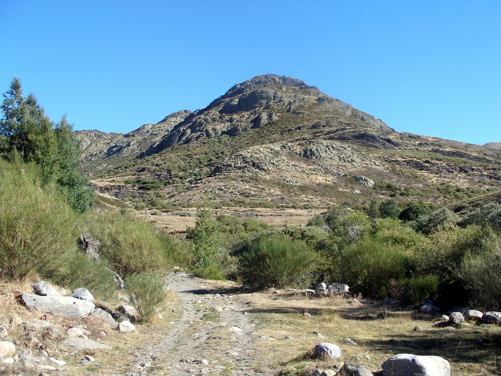 Camino Poza de las Lomas 3 by Alfonso Somoza de La Fuente