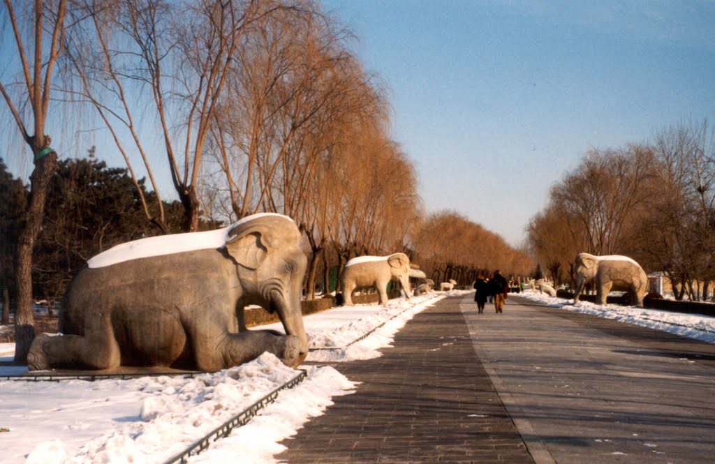 CHINA, Beijing: Shi San Ling, the sacred way to the Ming Tombs by Nell van den Bosch -…