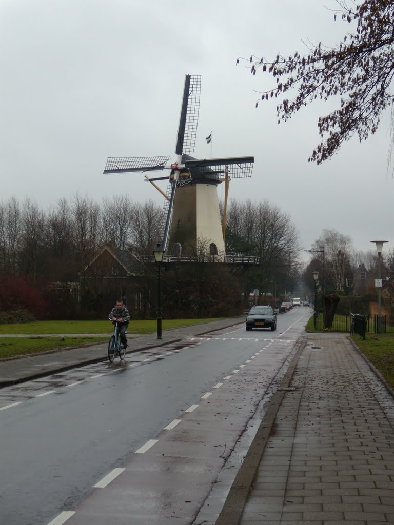 Oud-Charlois, Rotterdam, Netherlands by George Marinescu