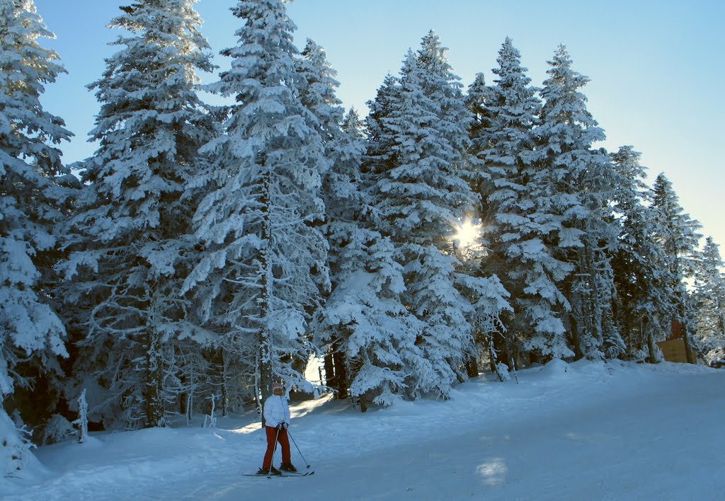 Ilgaz dağı by Alican Aslan