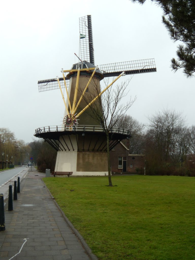 Oud-Charlois, Rotterdam, Netherlands by George Marinescu