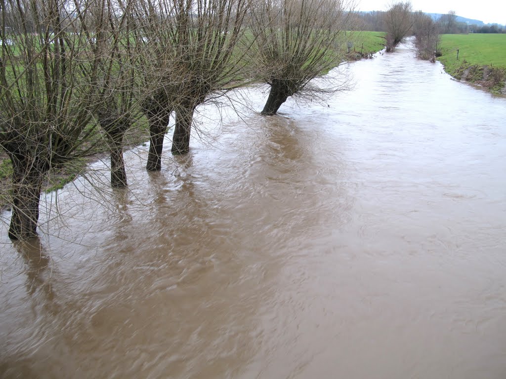 Vue du pont sur la Geul, le 9 janvier 2011. by lallemand.yvan