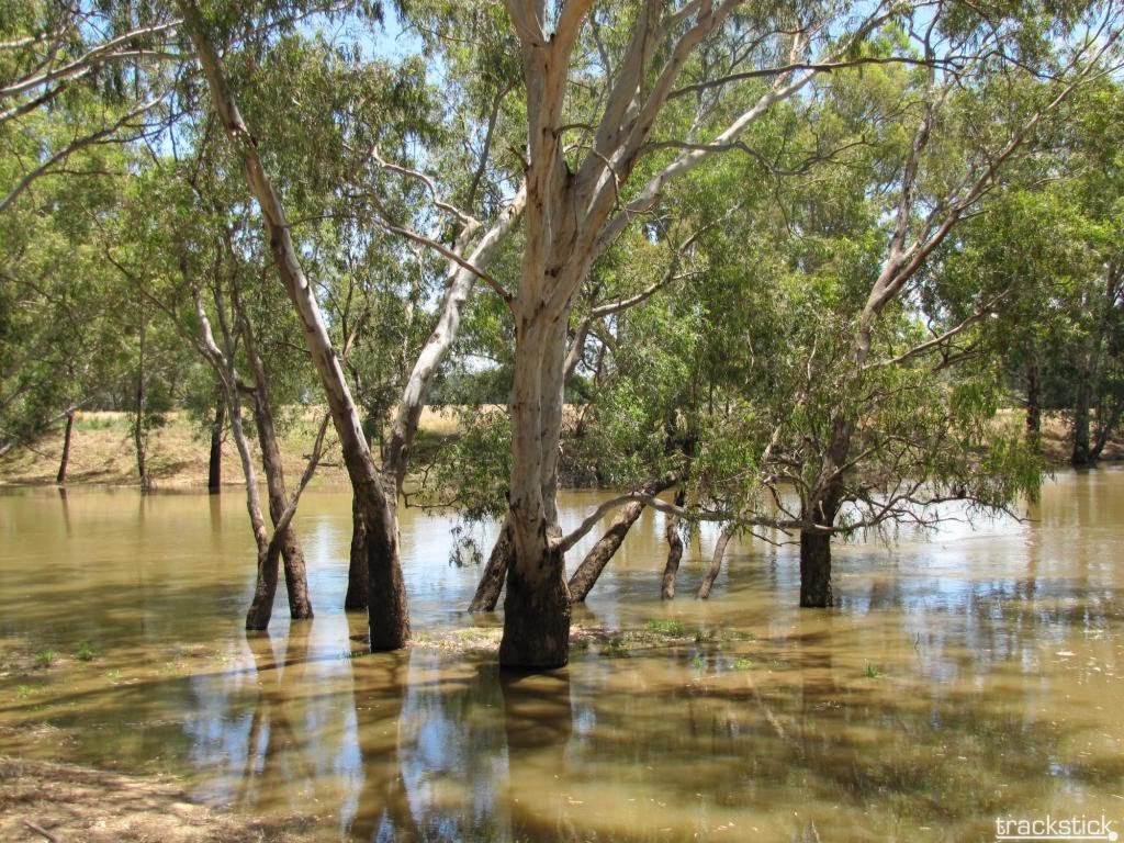 The Bidgee up Jan 2011 at Grong Grong by Luke Johnston