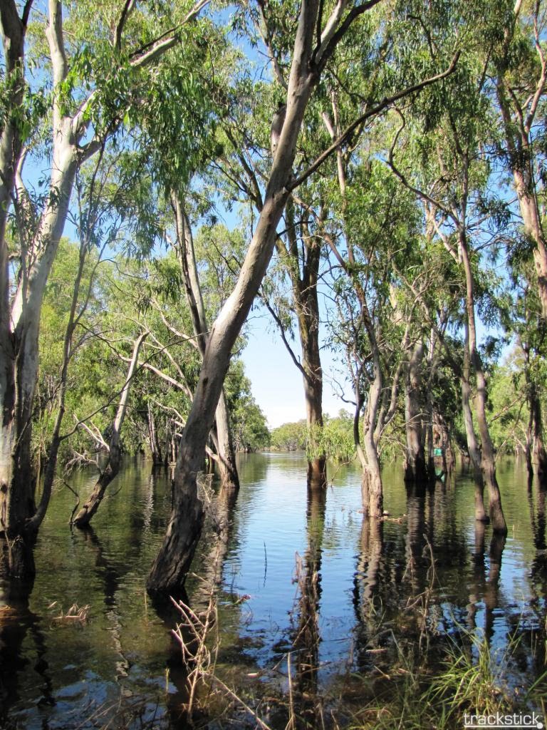 Beautiful Bidgee by Luke Johnston