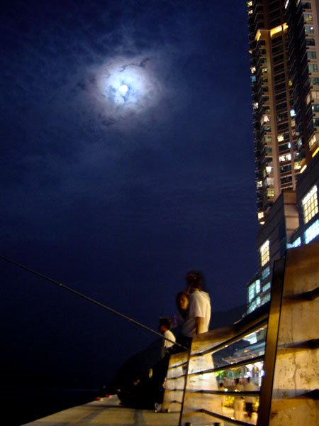 Siu Sai Wan Promenade at night, 2002 by klyuen.com